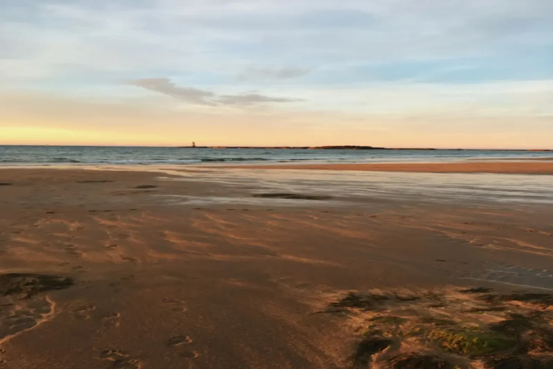 seacliff beach