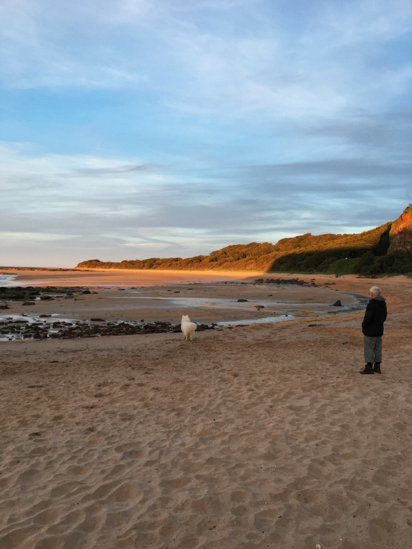 seacliff beach