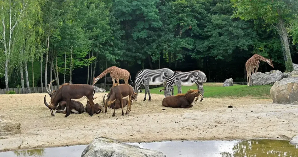 best zoo in Edinburgh
