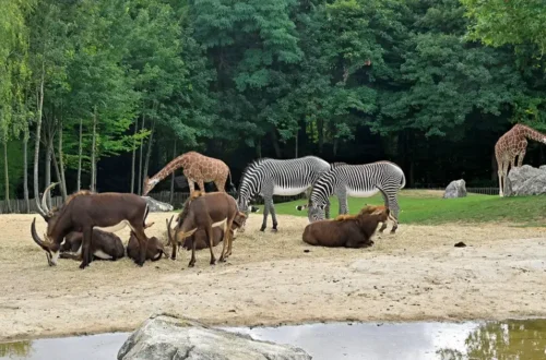 best zoo in Edinburgh