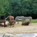 best zoo in Edinburgh